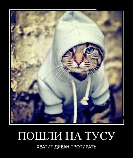 Демотиваторы