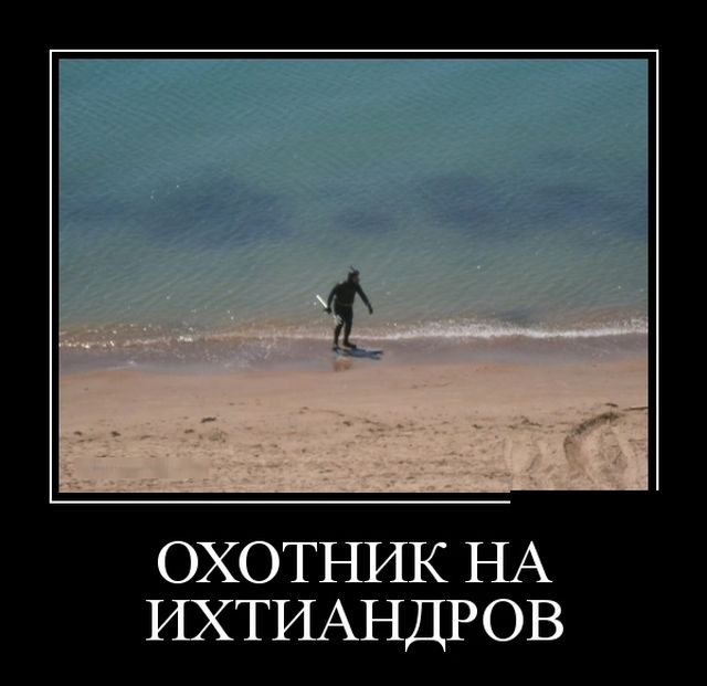 Демотиваторы