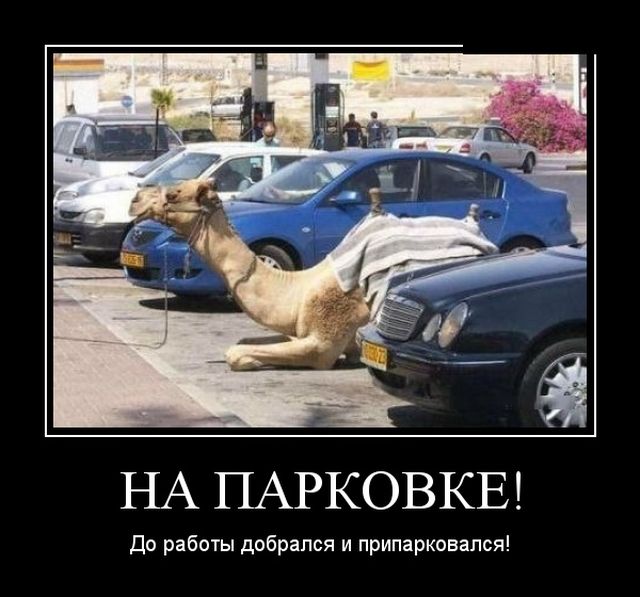 Демотиваторы