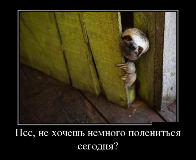 Демотиваторы