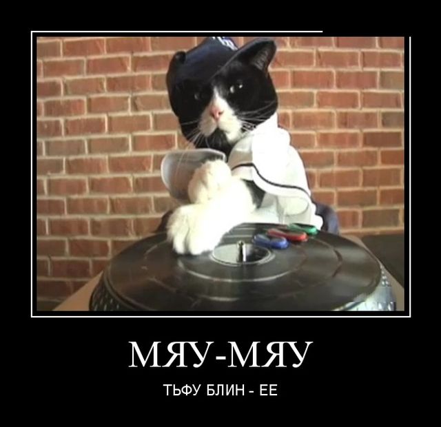 Демотиваторы