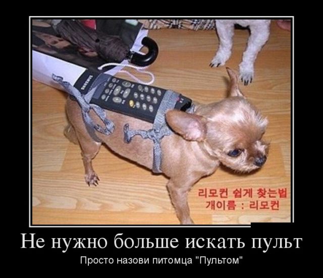 Демотиваторы