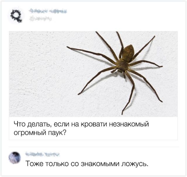 Остроумные комментарии с просторов интернета