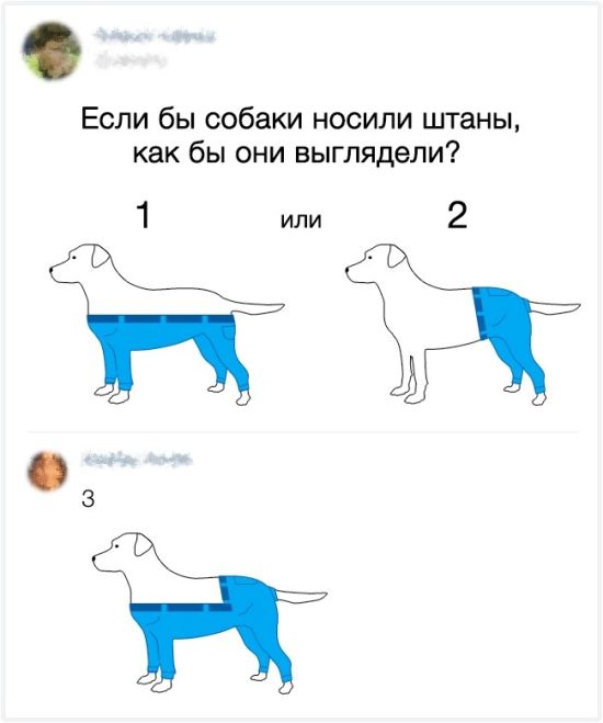 Остроумные комментарии с просторов интернета