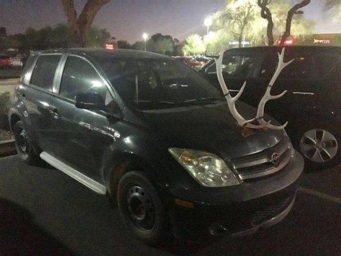 Странные автомобили