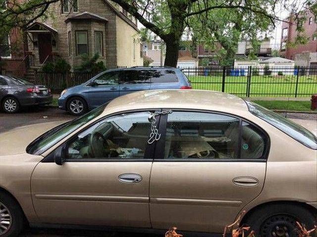 Прикольные картинки