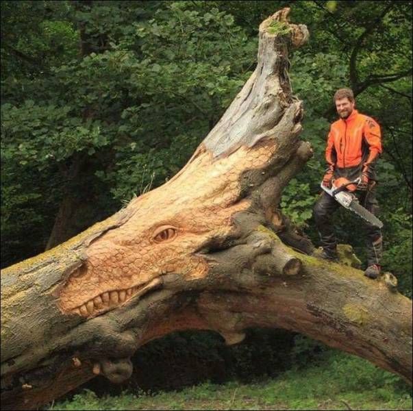 Прикольные картинки