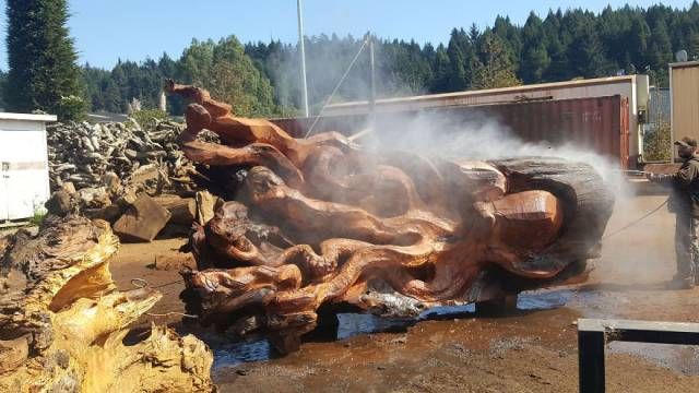 Гигантский осьминог из цельного ствола дерева