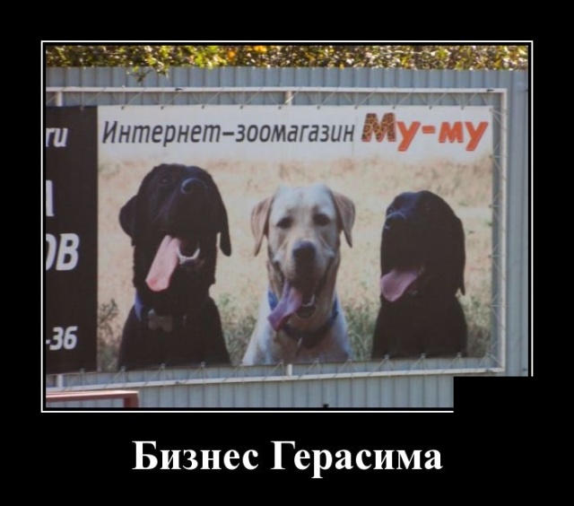 Демотиваторы