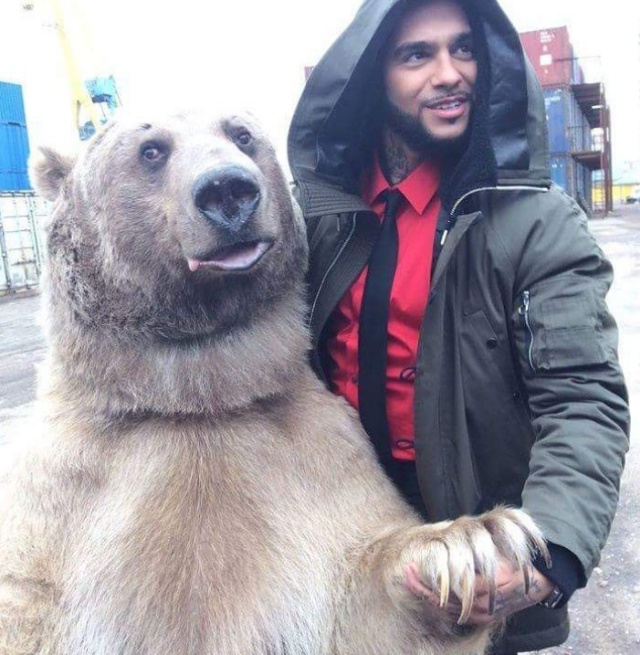 Медведь Степан - звезда кинематографа и фотосессий