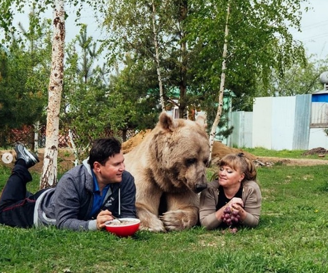 Медведь Степан - звезда кинематографа и фотосессий