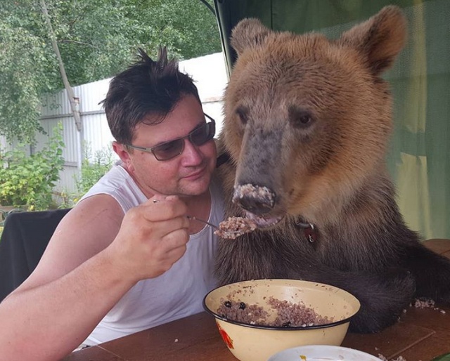 Медведь Степан - звезда кинематографа и фотосессий