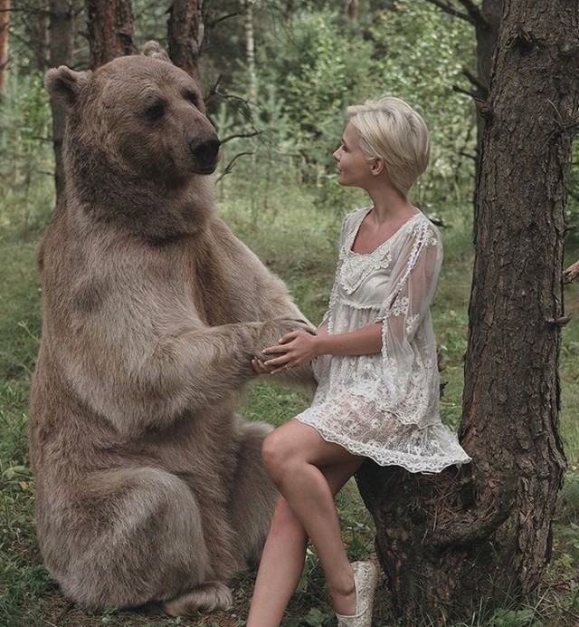 Медведь Степан - звезда кинематографа и фотосессий