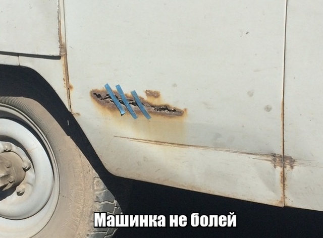 Прикольные картинки