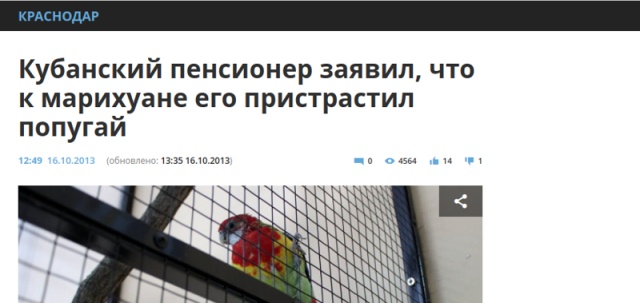 Юмор в стиле: "Куда спешат пенсионеры по утрам"