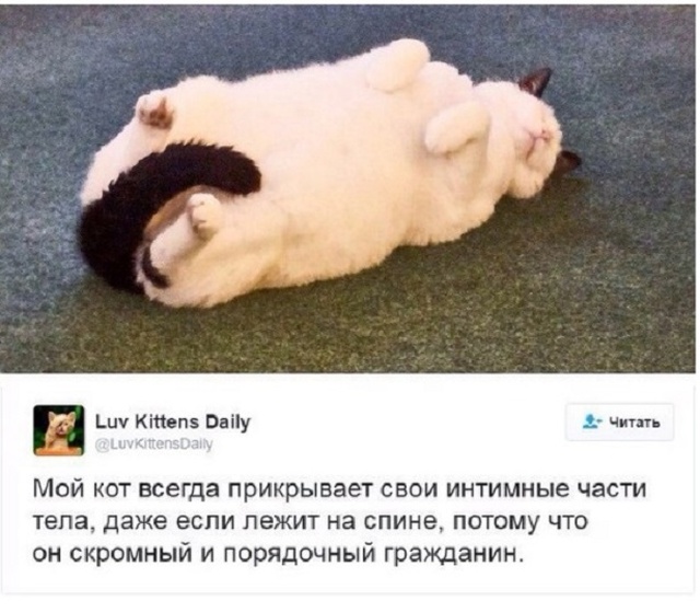 Юмор и забавные высказывания пользователей сети