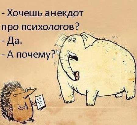 Прикольные картинки (70 фото)
