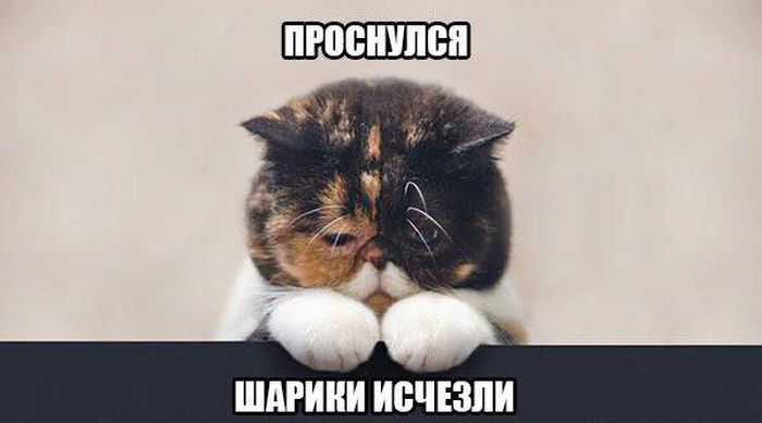 Порция картинок