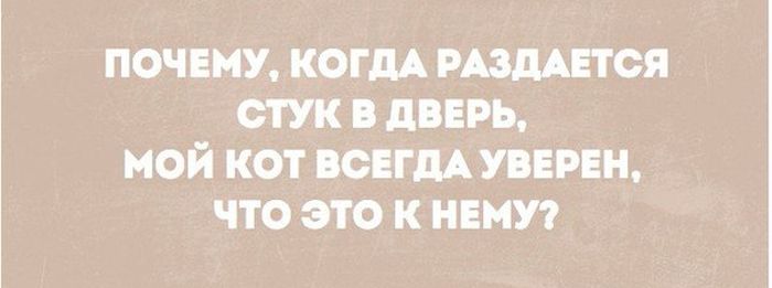 Порция картинок