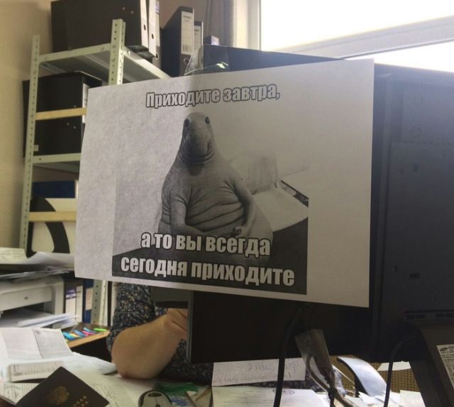 Прикольные картинки