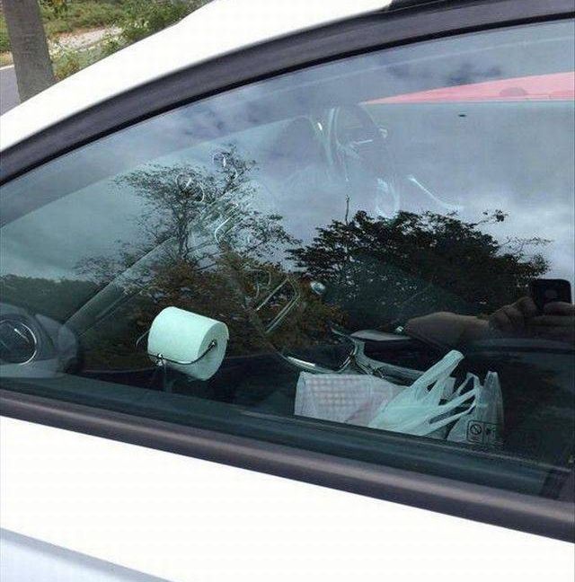 Прикольные картинки