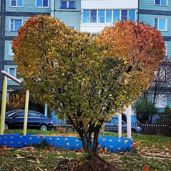Прикольные картинки