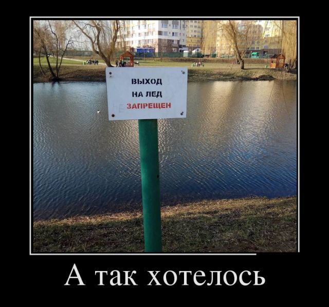 Демотиваторы