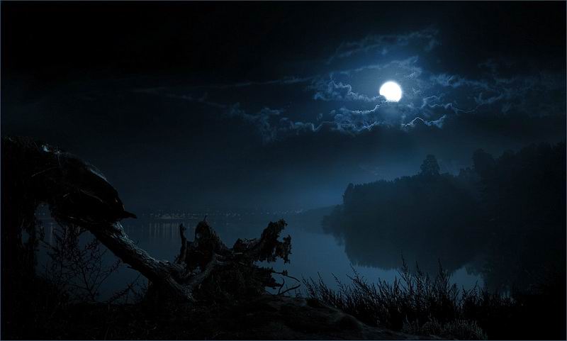 Перепуганные люди рассказывают свои истории, от которых мурашки бегут по спине Перепуганные люди рассказывают свои истории, от которых мурашки бегут по спине