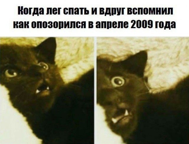 Шутки, начинающиеся со слова «когда»