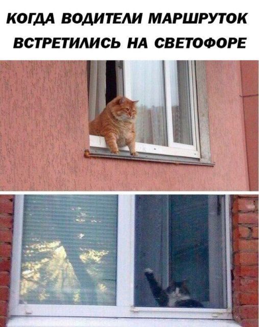 Шутки, начинающиеся со слова «когда»