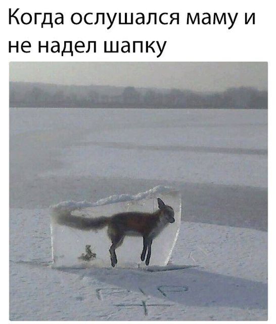 Шутки, начинающиеся со слова «когда»