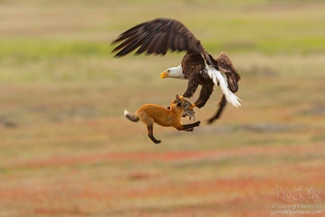 Интересные фото обо всём на свете Интересные фото обо всём на свете