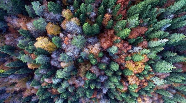 Интересные фото обо всём на свете Интересные фото обо всём на свете