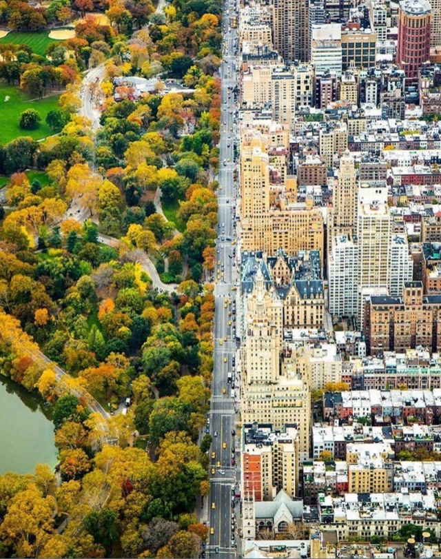 Интересные фото обо всём на свете Интересные фото обо всём на свете