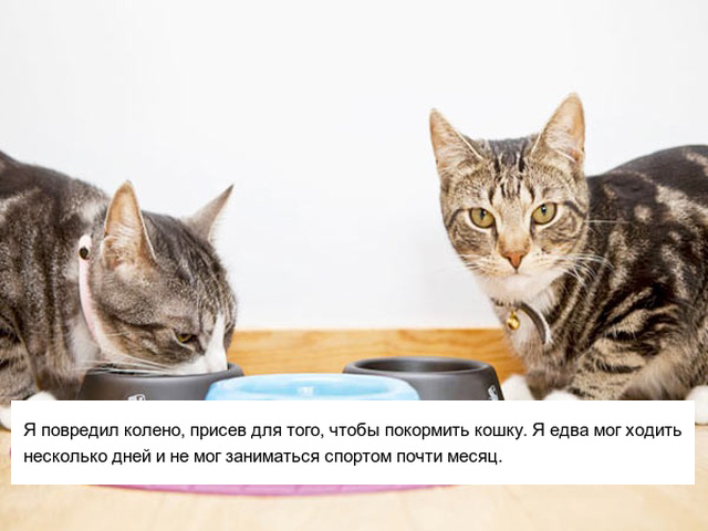 Удивительные истории, которыми делятся в сети очень неуклюжие люди