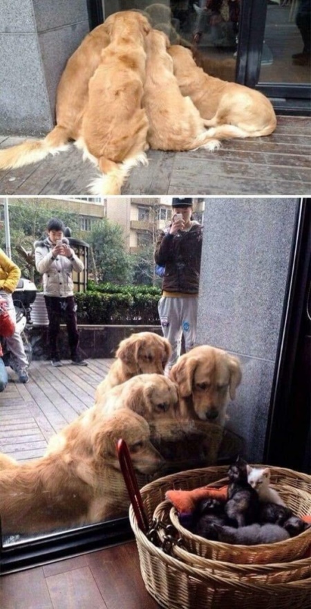 Прикольные картинки