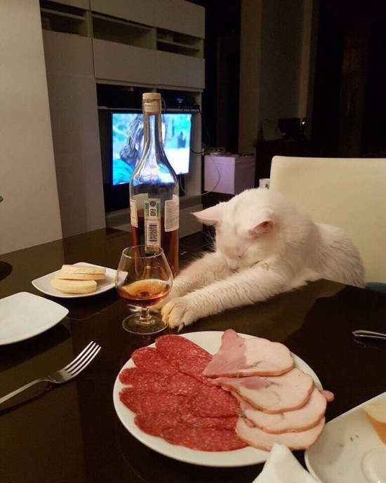 Прикольные картинки
