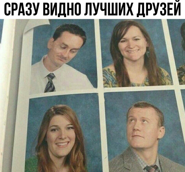 Прикольные картинки