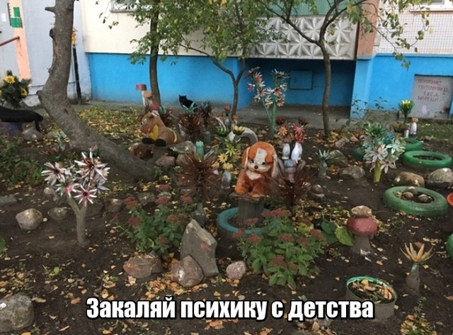 Прикольные картинки