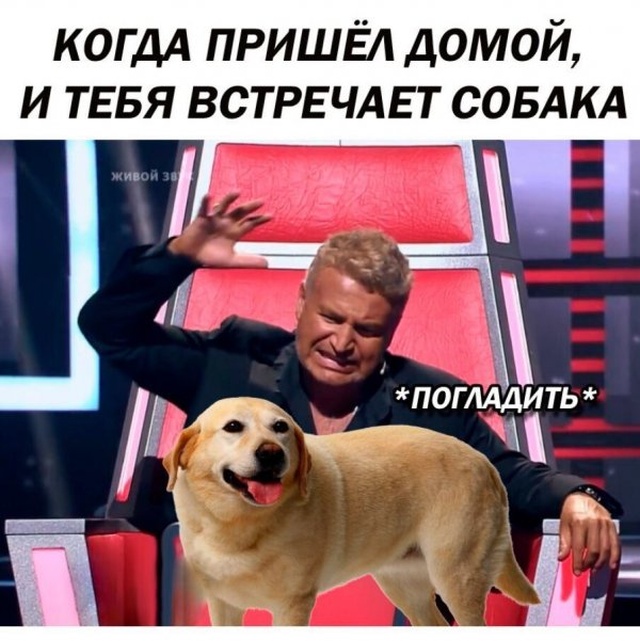 Юмор и шутки из социальных сетей