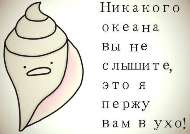 Юмор и шутки из социальных сетей