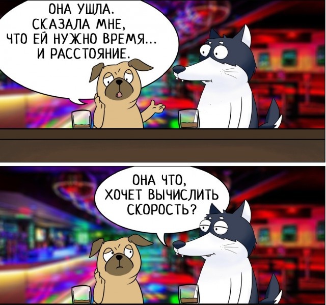Юмор и шутки из социальных сетей