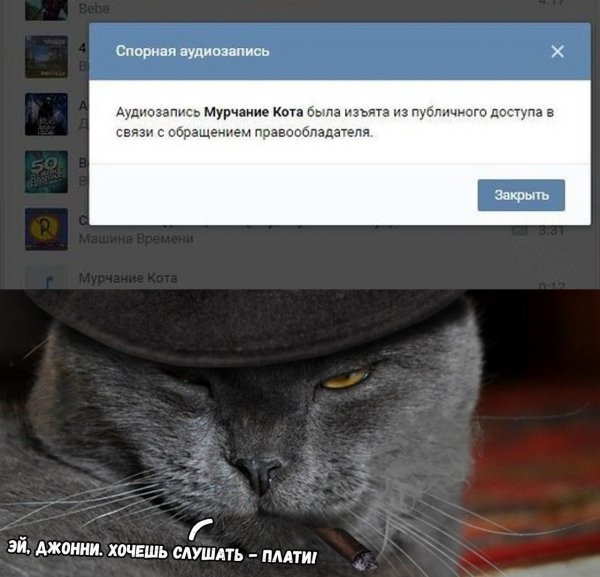 Юмор и шутки из социальных сетей