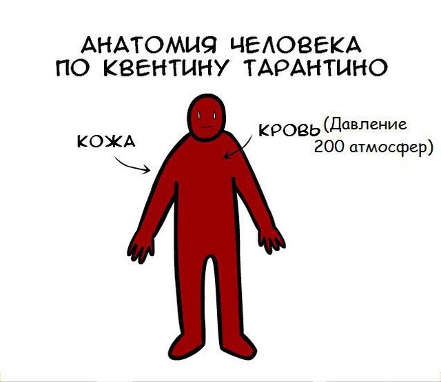 Юмор и шутки из социальных сетей