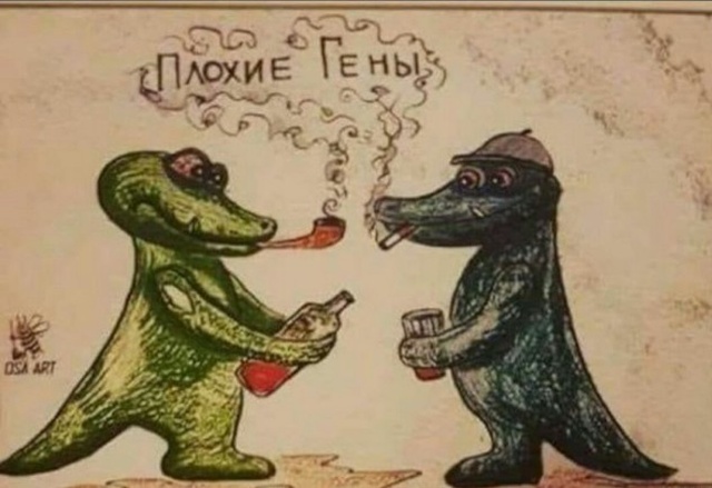 Юмор и шутки из социальных сетей