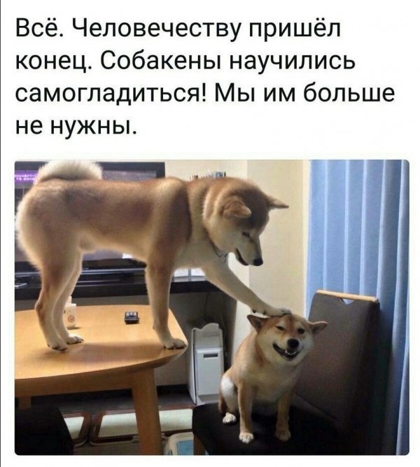 Юмор и шутки из социальных сетей