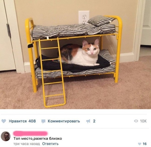 Юмор и шутки из социальных сетей