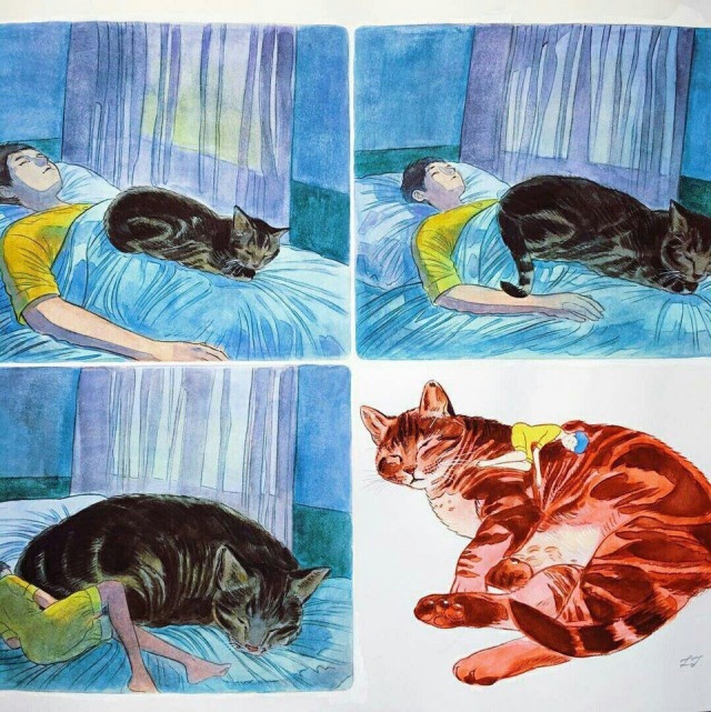 Юмор и шутки из социальных сетей