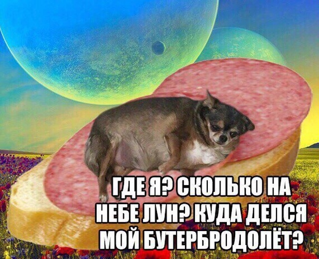 Юмор и шутки из социальных сетей
