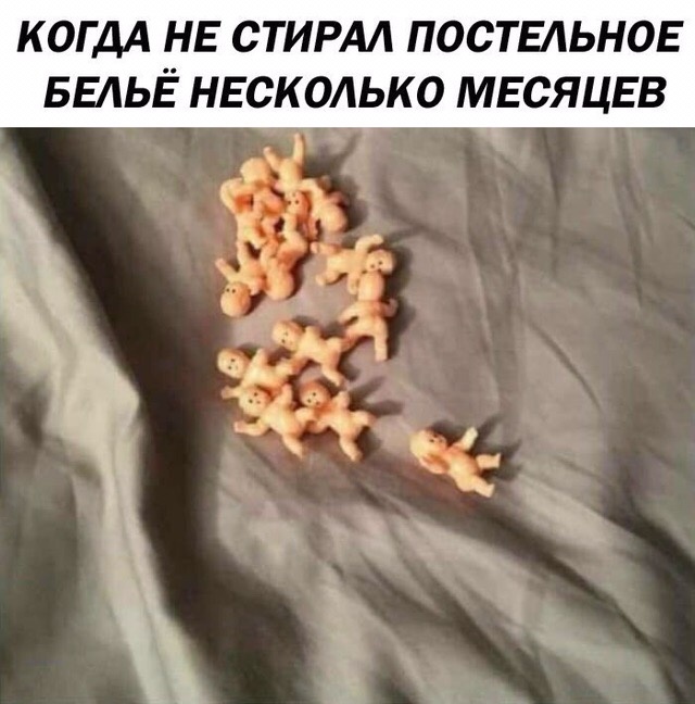 Юмор и шутки из социальных сетей